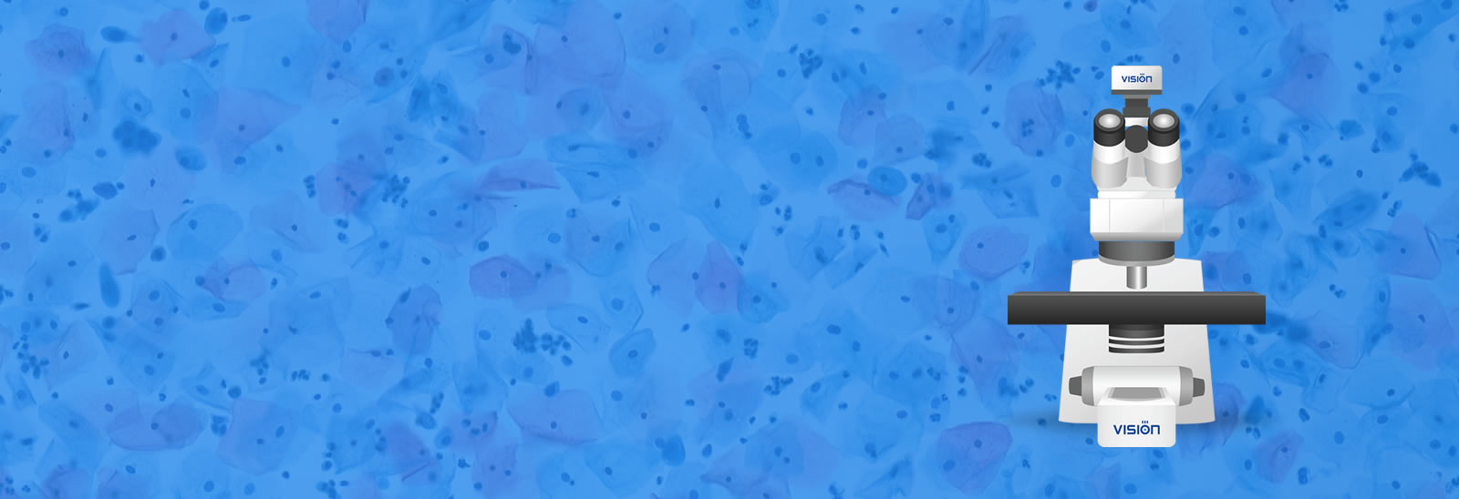 Dijital Patoloji-West Medica/Vision Cyto Pap